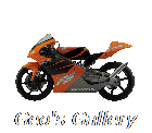 Geo's Gallery
